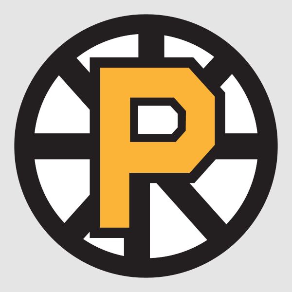 Hockey Wall Decals - Hockey Team Logos - Providence Bruins