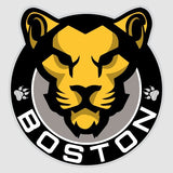 Hockey Wall Decals - Hockey Team Logos - Boston Pride