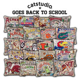 Arkansas, University of Collegiate Hand-Embroidered Pillow