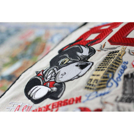 Boston University Collegiate Embroidered Pillow by CatStudio