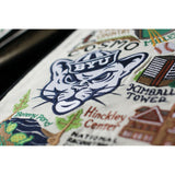 Brigham Young University (BYU) Collegiate Hand-Embroidered Pillow