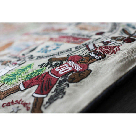 Montana, University of Collegiate Embroidered Pillow by CatStudio