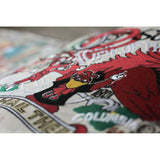 South Carolina, University of Collegiate Hand-Embroidered Pillow