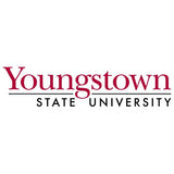 College Wall Decals - College Team Logos - Youngstown State University