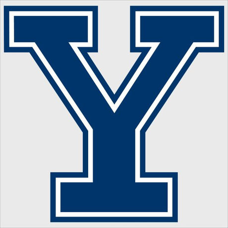College Wall Decals - College Team Logos - Yale Y