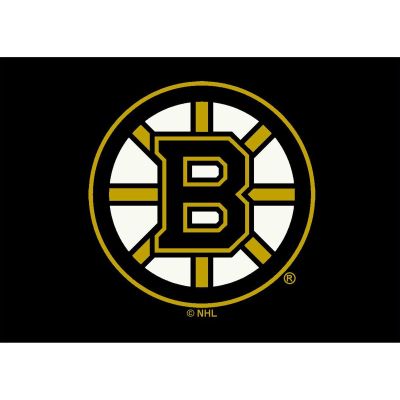 Boston Bruins Spirit Area Rug