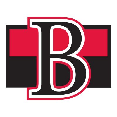 Hockey Wall Decals - Hockey Team Logos - Belleville Senators