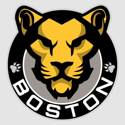 Hockey Wall Decals - Hockey Team Logos - Boston Pride