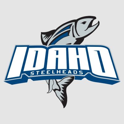 Hockey Wall Decals - Hockey Team Logos - Idaho Steelheads