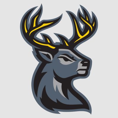 Hockey Wall Decals - Hockey Team Logos - Iowa Heartlanders