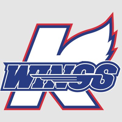 Hockey Wall Decals - Hockey Team Logos - Kalamazoo Wings