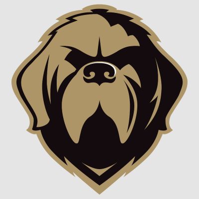 Hockey Wall Decals - Hockey Team Logos - Newfoundland Growlers