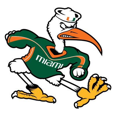 College Wall Decals - College Team Logos - University of Miami Sebastian the Ibis