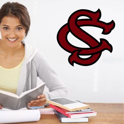 College Wall Decals - College Team Logos - South Carolina