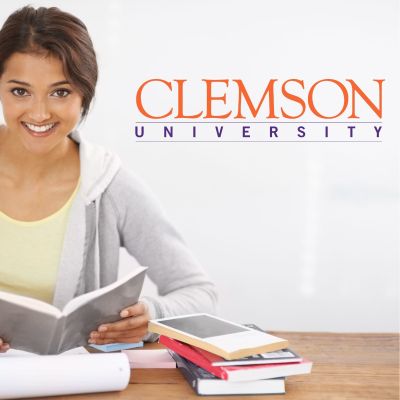 College Wall Decals - College Team Logos - Clemson University