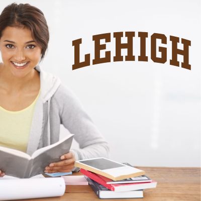 College Wall Decals - College Team Logos - Lehigh Mountain Hawks