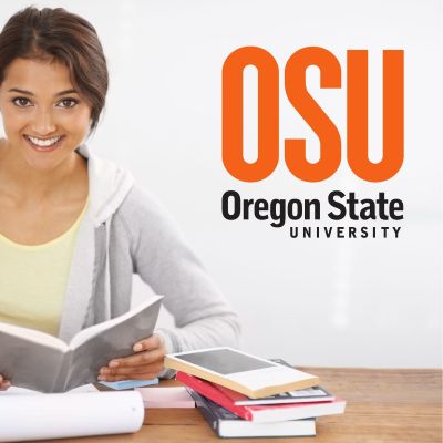 College Wall Decals - College Team Logos - OSU Oregon State University