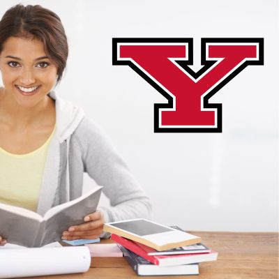 College Wall Decals - College Team Logos - Youngstown State Penguins