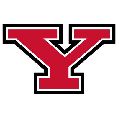 College Wall Decals - College Team Logos - Youngstown State Penguins