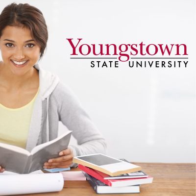 College Wall Decals - College Team Logos - Youngstown State University