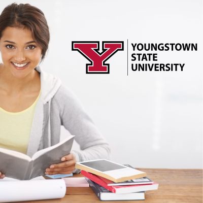 College Wall Decals - College Team Logos - Y Logo Youngstown State University