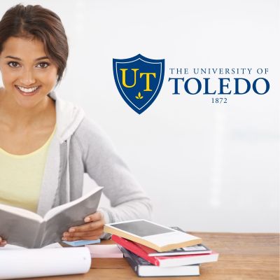 College Wall Decals - College Team Logos - The University of Toledo