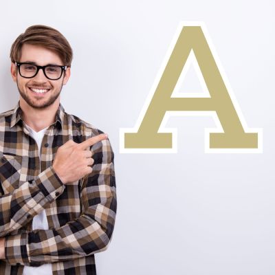 College Wall Decals - College Team Logos - Albion College Gold A 