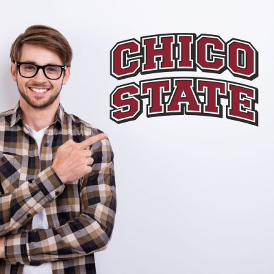 College Wall Decals - College Team Logos - Chico State Wildcats