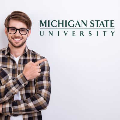 College Wall Decals - College Team Logos - Michigan State University