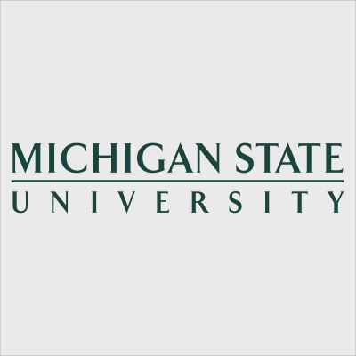 College Wall Decals - College Team Logos - Michigan State University