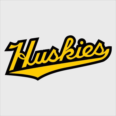College Wall Decals - College Team Logos - Michigan Tech Huskies Word (2016)