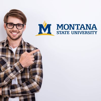 College Wall Decals - College Team Logos - Montana State University Logo