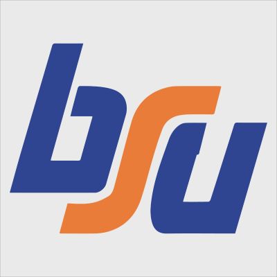 College Wall Decals - College Team Logos - Old Boise State Script