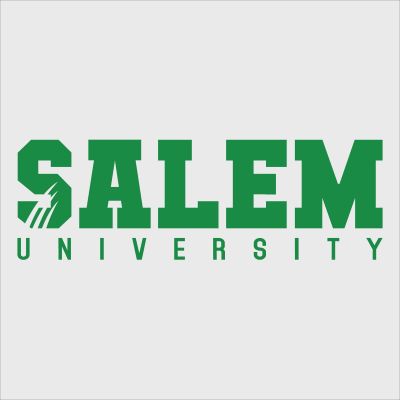College Wall Decals - College Team Logos - Salem University Green