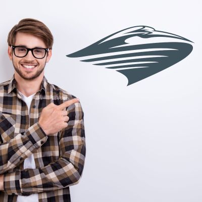 College Wall Decals - College Team Logos - Swirling Ibis U of Miami