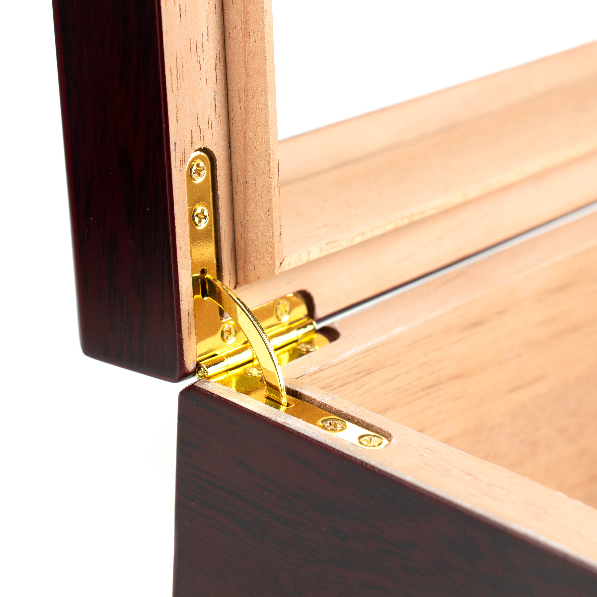 Cigar Bot with Detail of inside Gold Hinges