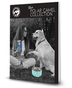 Polar Camel Colletion